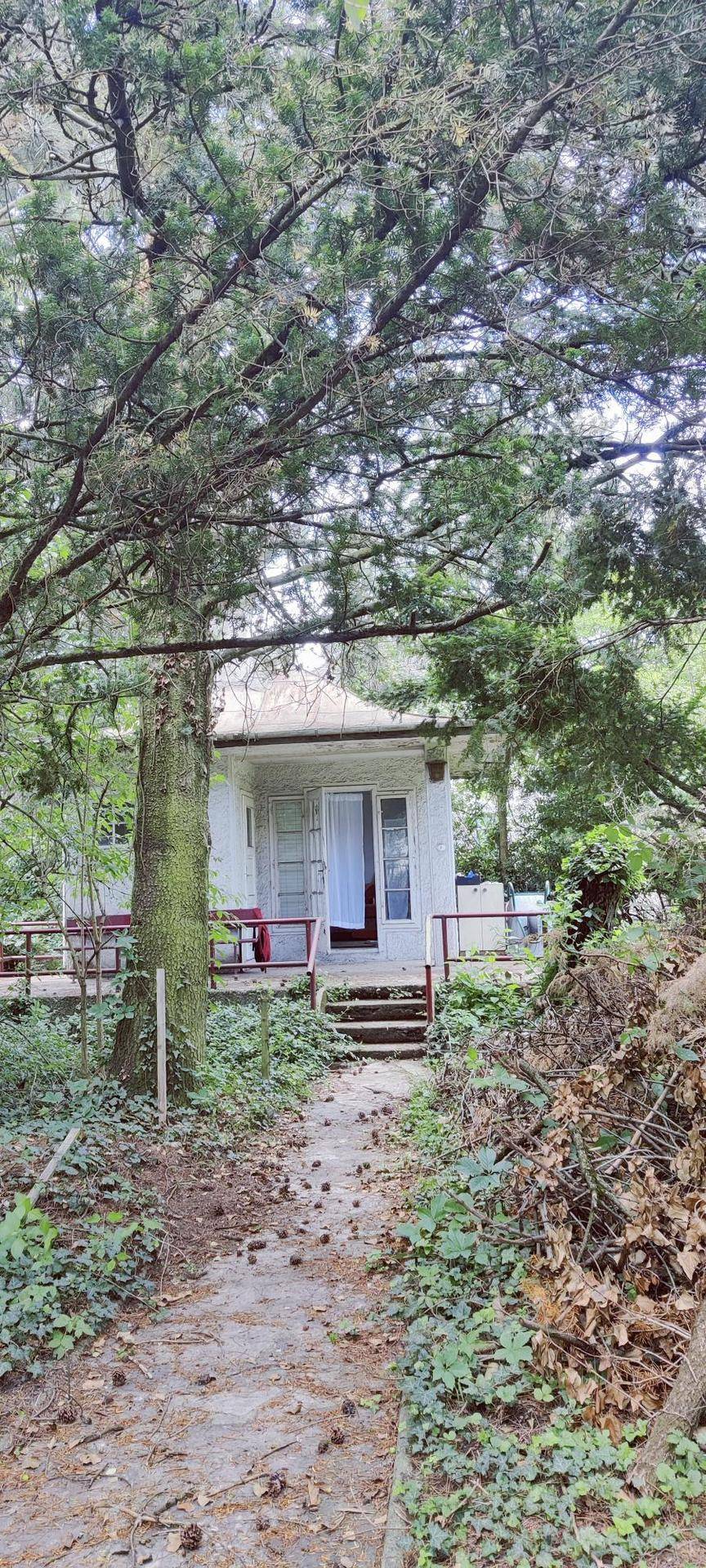 Großer Garten mit kleinem Gartenhaus mitten in Linz – pohled 2