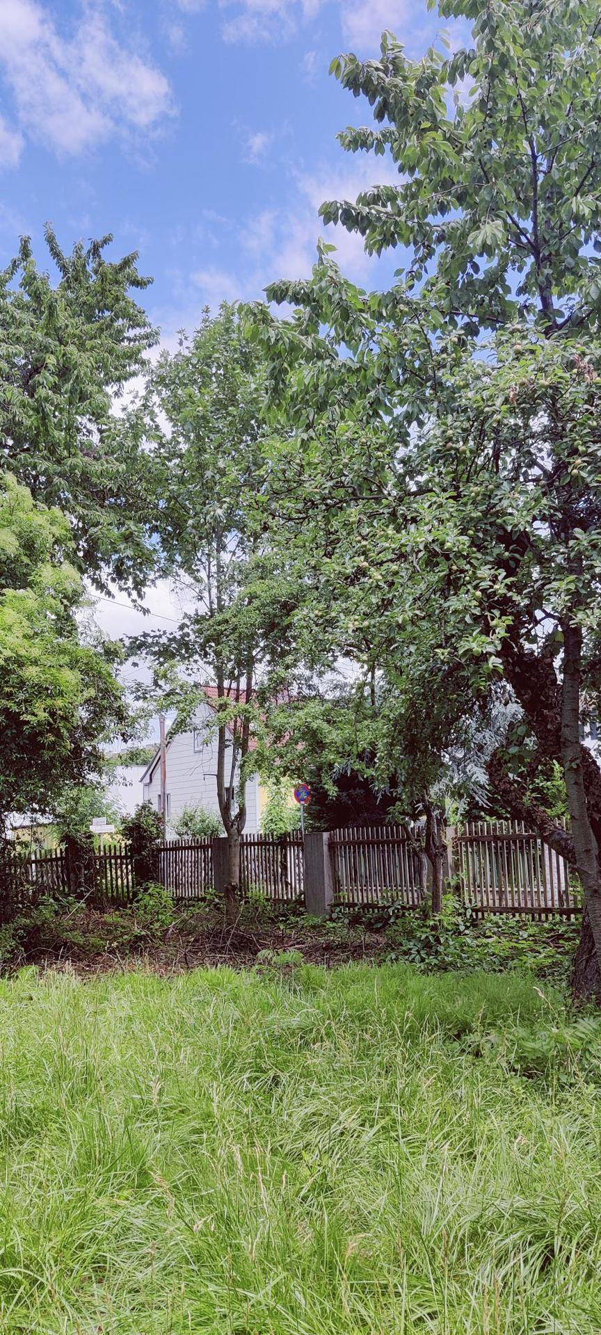 Großer Garten mit kleinem Gartenhaus mitten in Linz – pohled 3