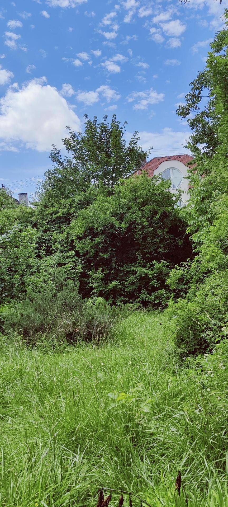 Großer Garten mit kleinem Gartenhaus mitten in Linz – pohled 4