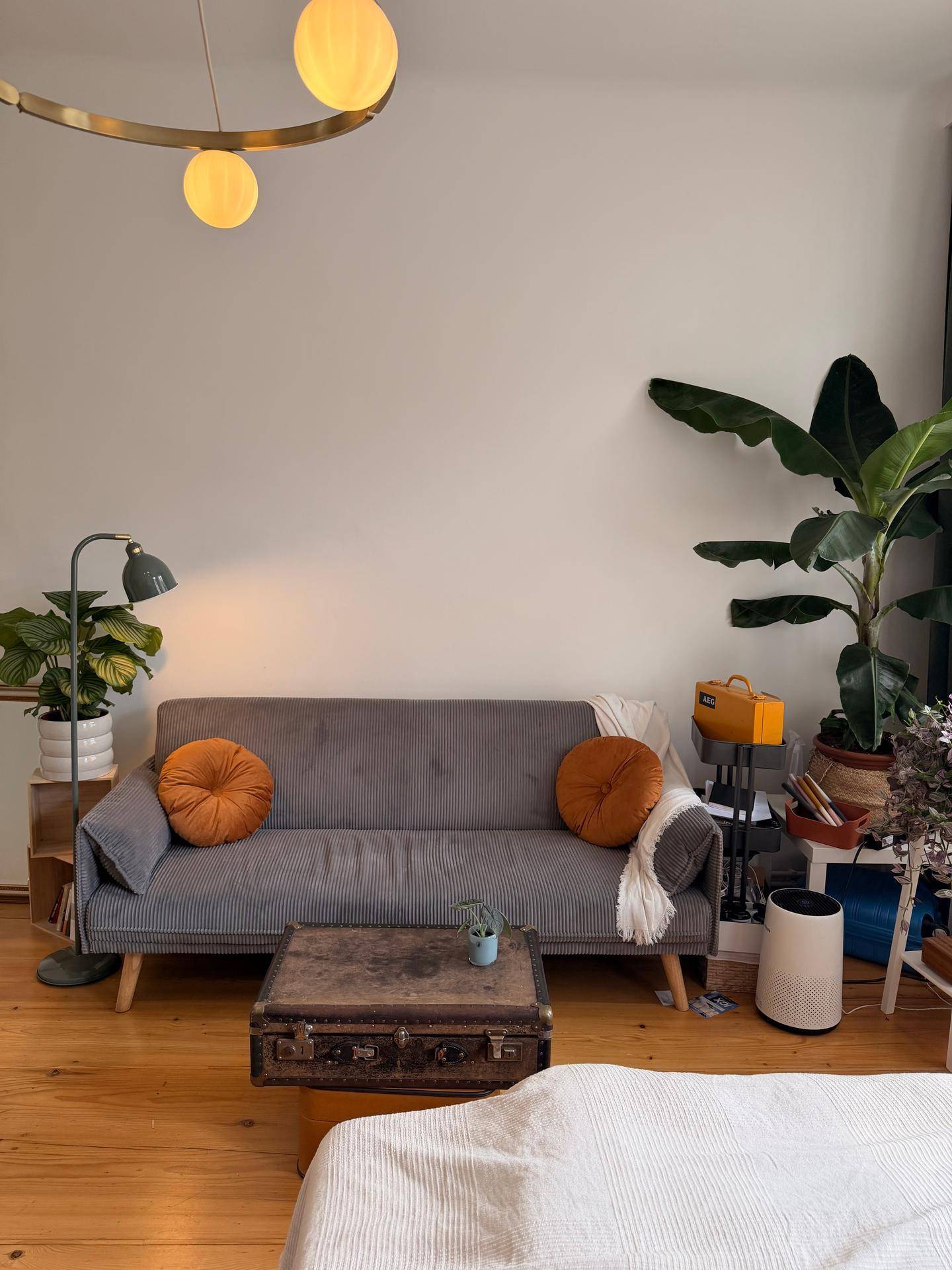 Detailansicht des Wohnbereichs mit grauem Sofa, Holztisch und großen Zimmerpflanzen.