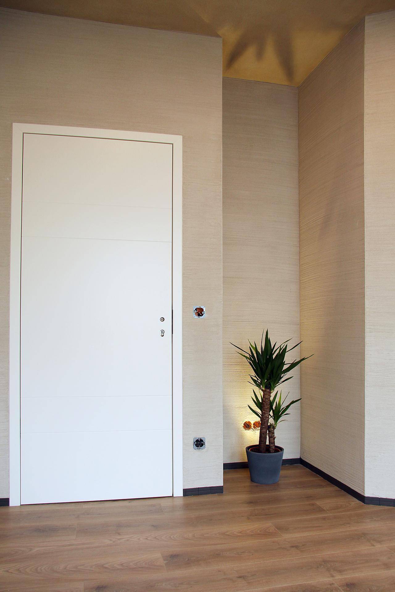 Heller Flur mit moderner weißer Tür, Holzboden und einer dekorativen Pflanze.