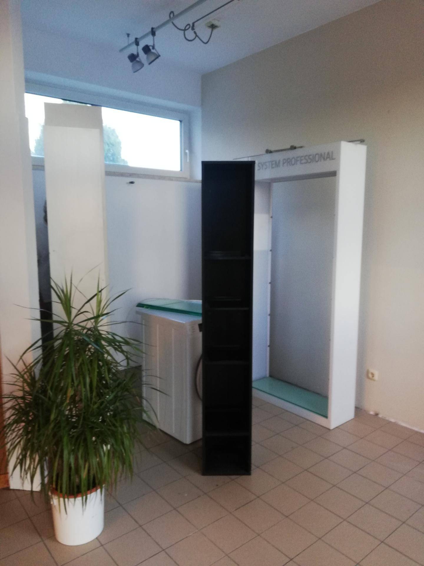Abstellraum oder Nebenraum mit Fenster, Pflanze und einem hohen schwarzen Regal.