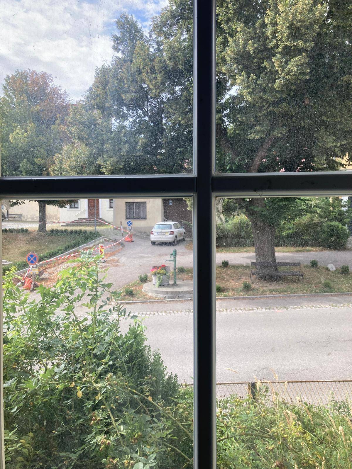 Blick aus dem Fenster auf eine ruhige Straße mit alten Bäumen und einem geparkten Auto.