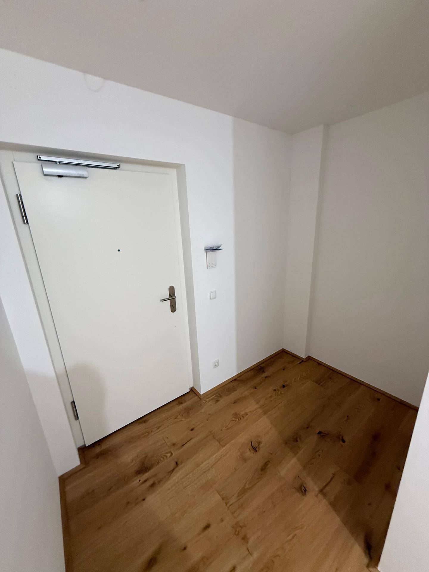 Eingangsbereich mit Holzboden und weiß gestrichenen Wänden, modern und hell.