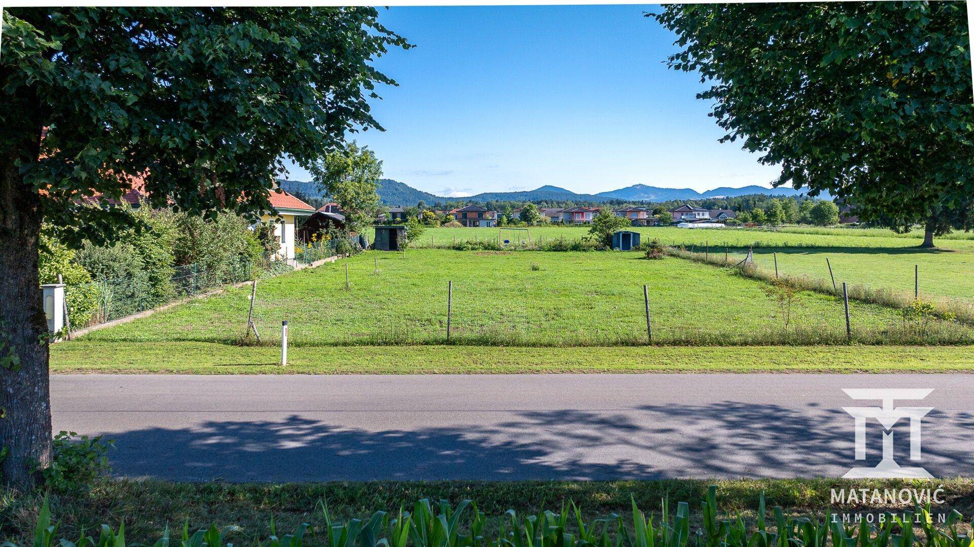 Grüne Wiese mit Bäumen und einer Straße, die zu einer malerischen Berglandschaft führt.