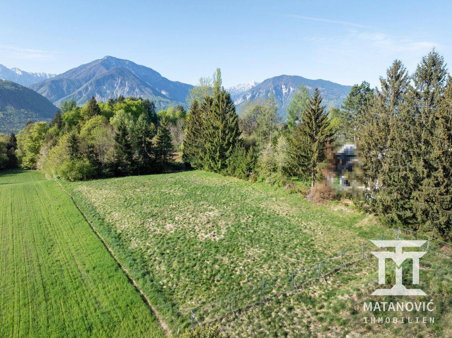 Luftaufnahme eines weitläufigen grünen Feldes, umgeben von Bäumen und mit Bergblick in der Ferne.
