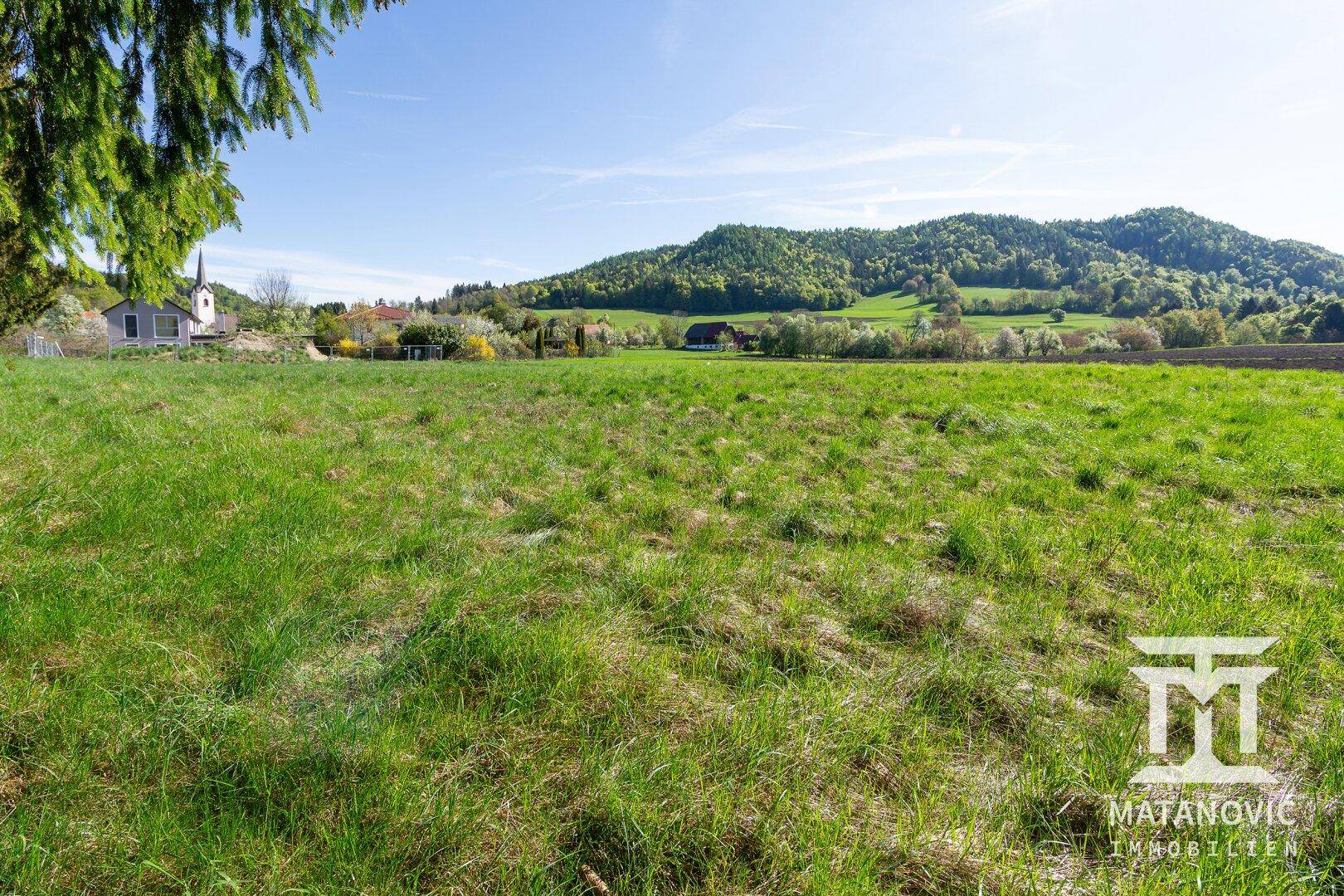 Grüne Wiese mit Blick auf eine ländliche Siedlung und bewaldete Hügel unter strahlend blauem Himmel.