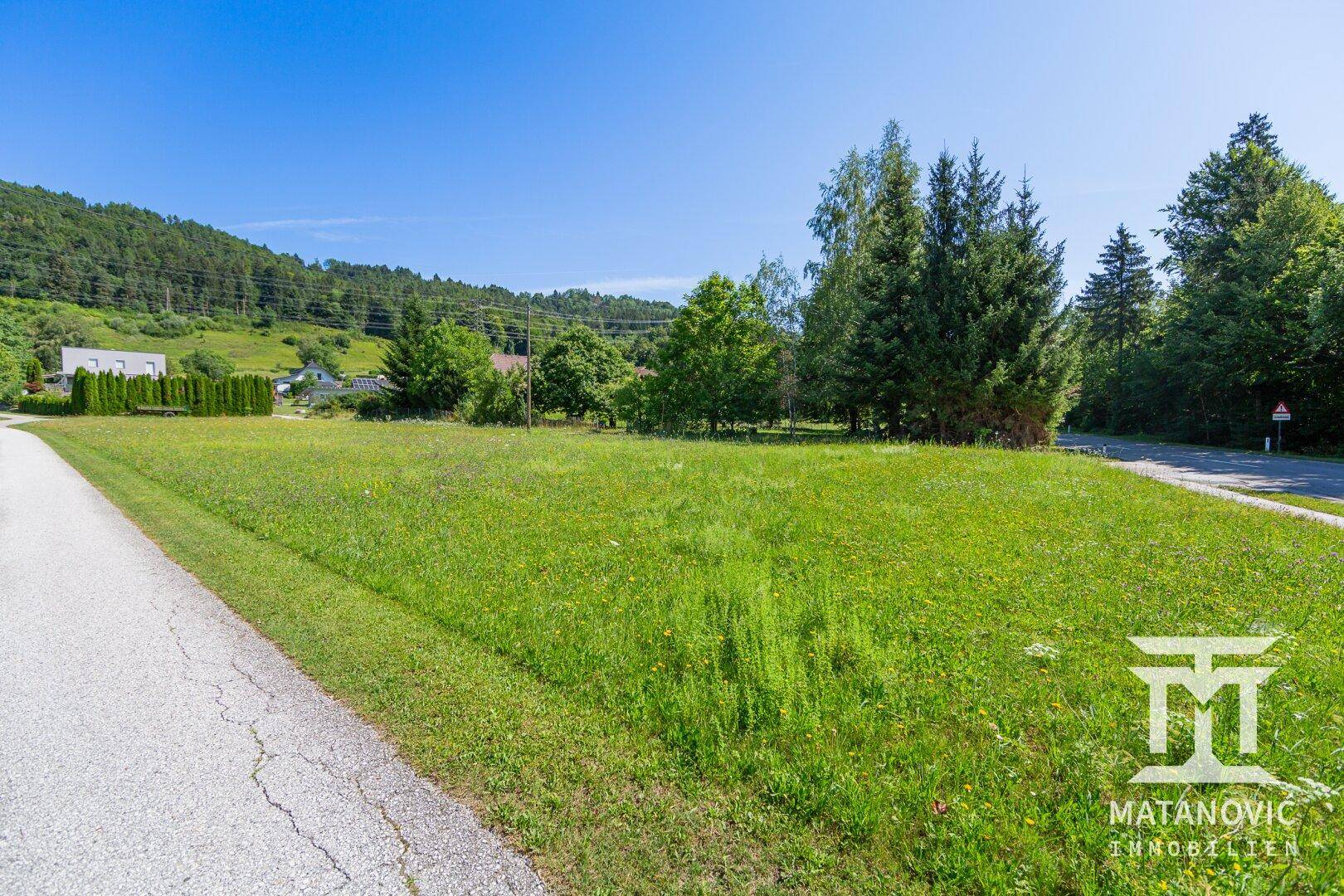 Grüne Wiese neben einer asphaltierten Straße, mit Bäumen und bewaldeten Hügeln im Hintergrund.