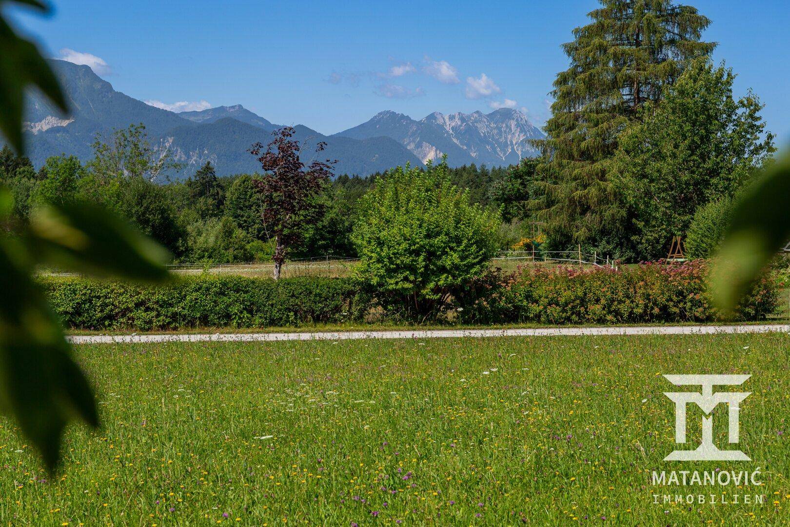 Blumenwiese mit einer Hecke und Bäumen im Mittelgrund, dahinter erheben sich majestätische Berge.