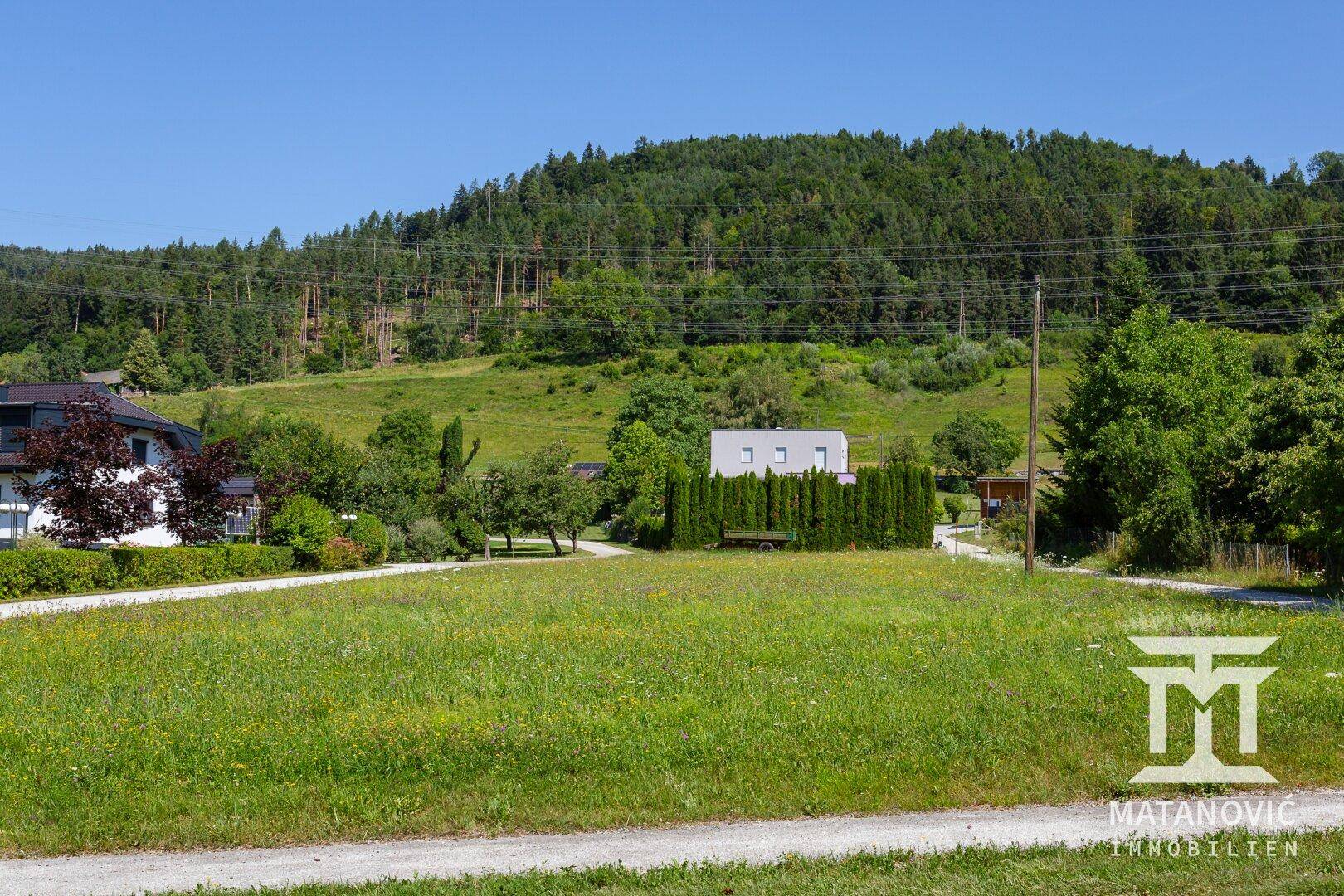 Grüne Wiese mit einem Schotterweg, umgeben von Häusern und einem bewaldeten Hügel im Hintergrund.