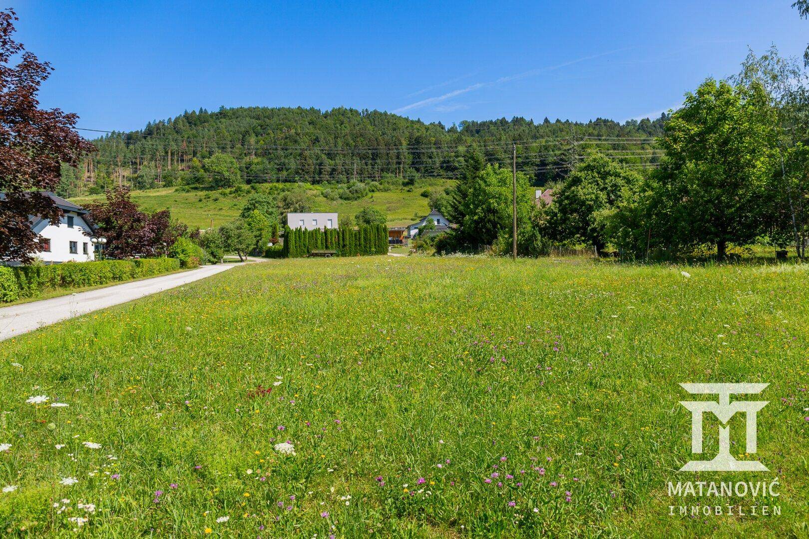 Weitläufige Wiese mit Wildblumen und einem Feldweg, umgeben von Bäumen und Hügeln.