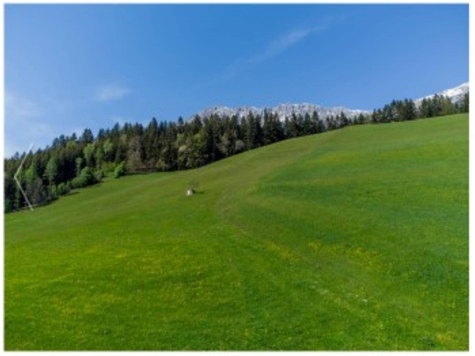 Traumhaftes Baugrundstück in Ellmau/Tirol – 674 m² in Sonnenlage mit unverbaubarem Kaiserblick - Ansicht 4