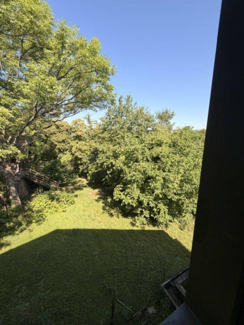 Blick auf einen grünen Gartenbereich mit vielen Bäumen und üppiger Vegetation.