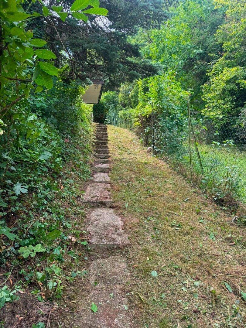 Steiler Gartenweg mit Stufen, umgeben von üppigem Grün und Bäumen.