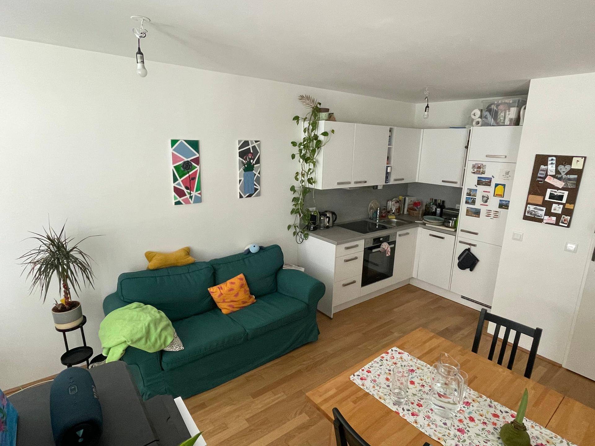 Offener Wohnbereich mit integrierter weißer Küche, Sofa, Esstisch und modernen Geräten.