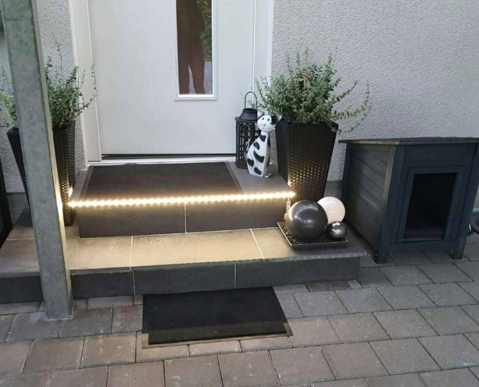Eingangsbereich mit beleuchteten Stufen, dekorativen Pflanzen und einer kleinen Hundehütte.