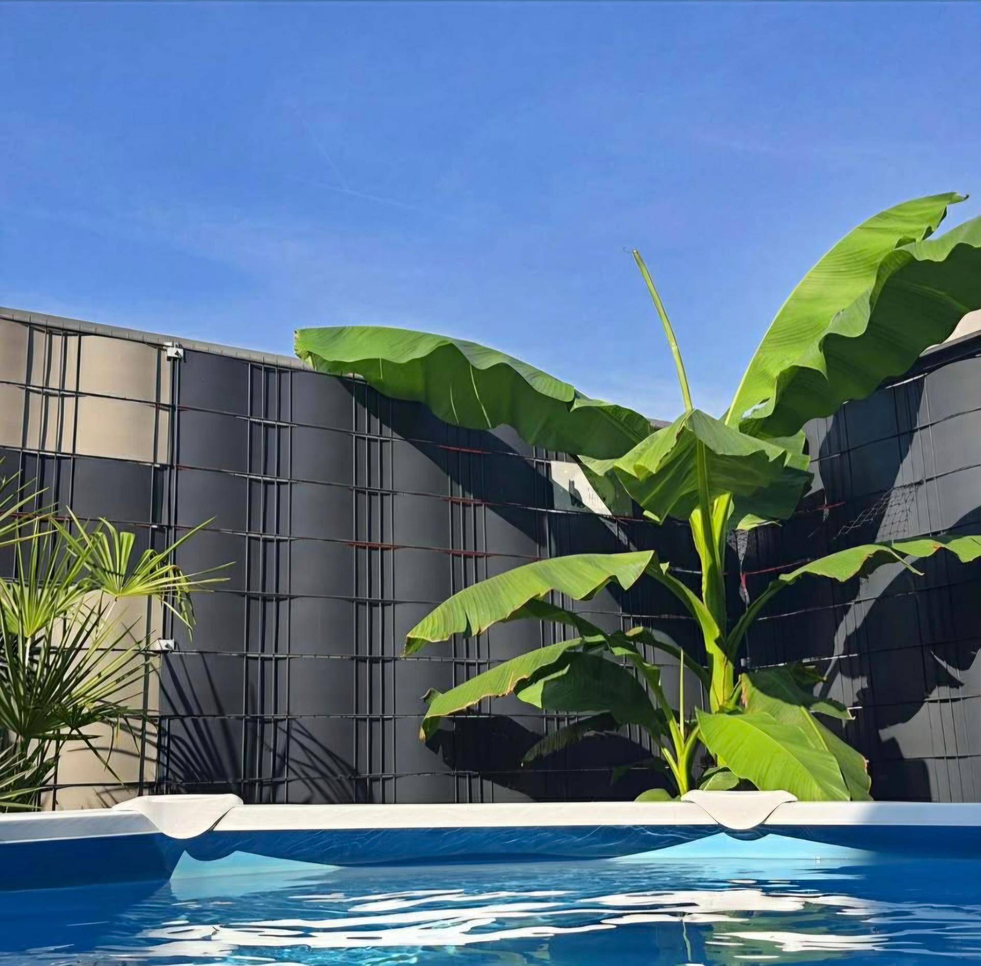 Aufstellpool umgeben von tropischen Pflanzen und einer modernen Sichtschutzwand unter blauem Himmel.