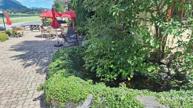 Gepflasterter Außenbereich mit üppigem Grün und einem kleinen Teich, angrenzend an die Terrasse.