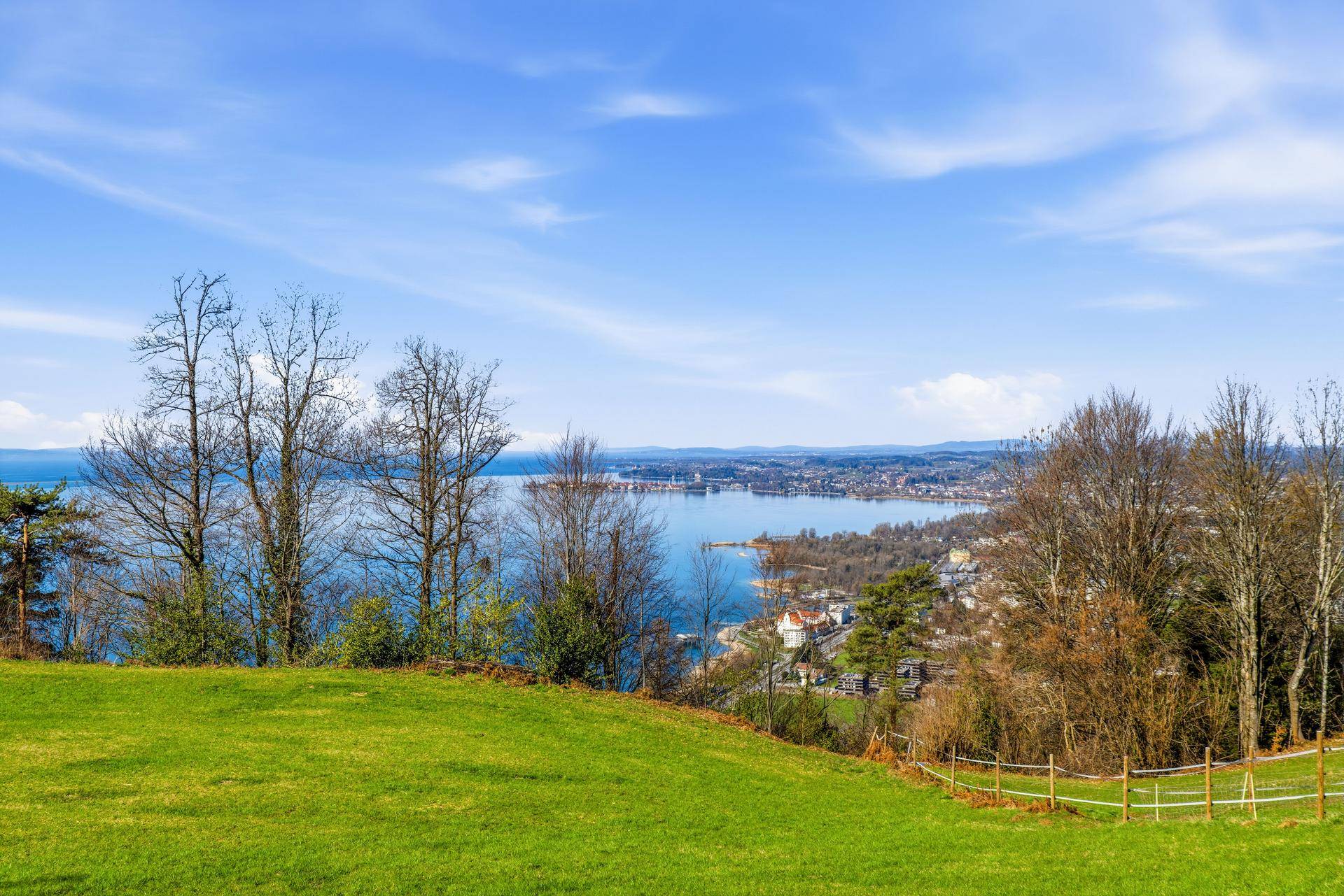 Idyllischer Blick von einer grünen Wiese auf den See und die gegenüberliegende Uferlandschaft.