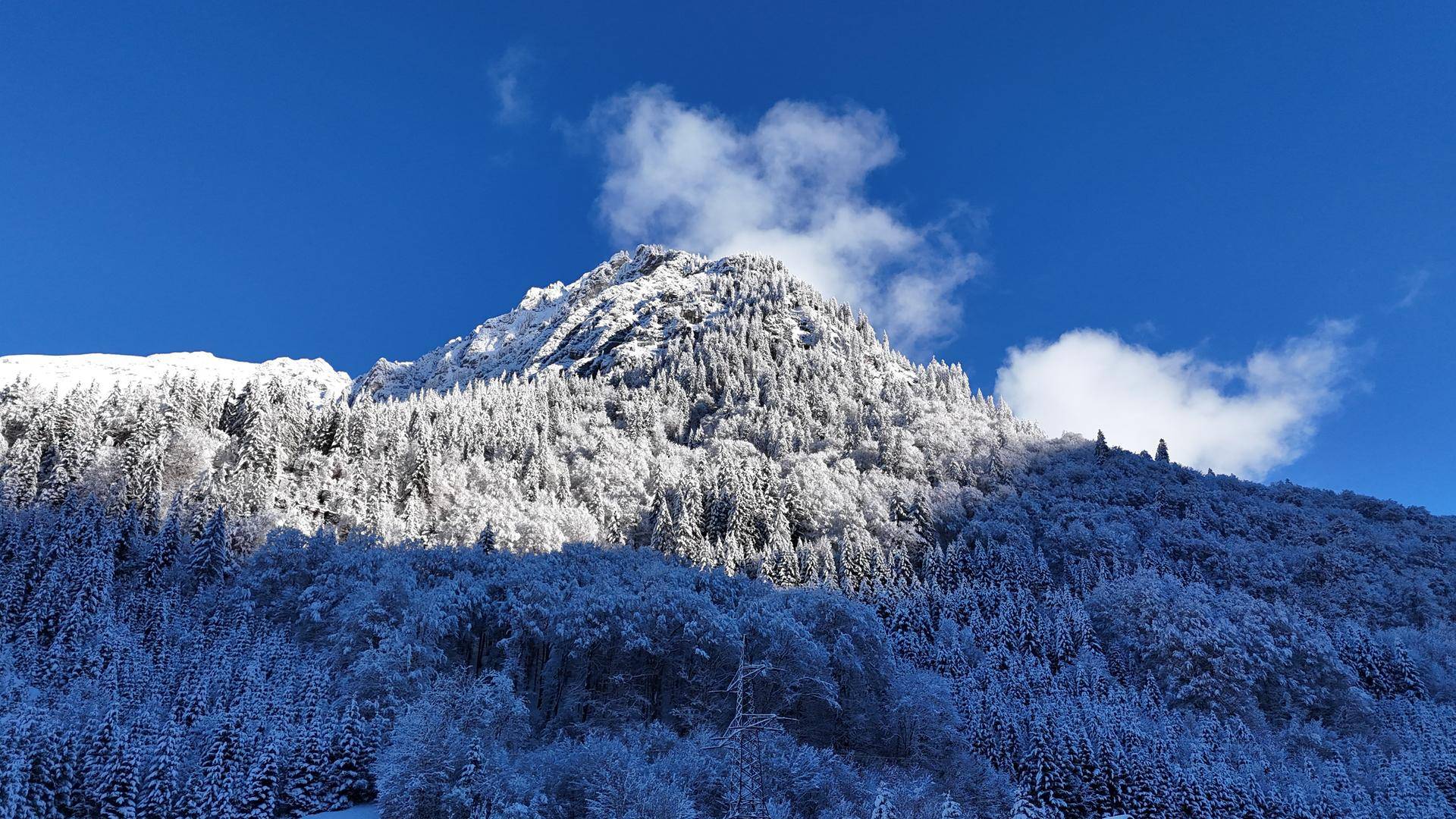 Verschneiter Berggipfel und Wald unter strahlend blauem Himmel, eine malerische Winterlandschaft.
