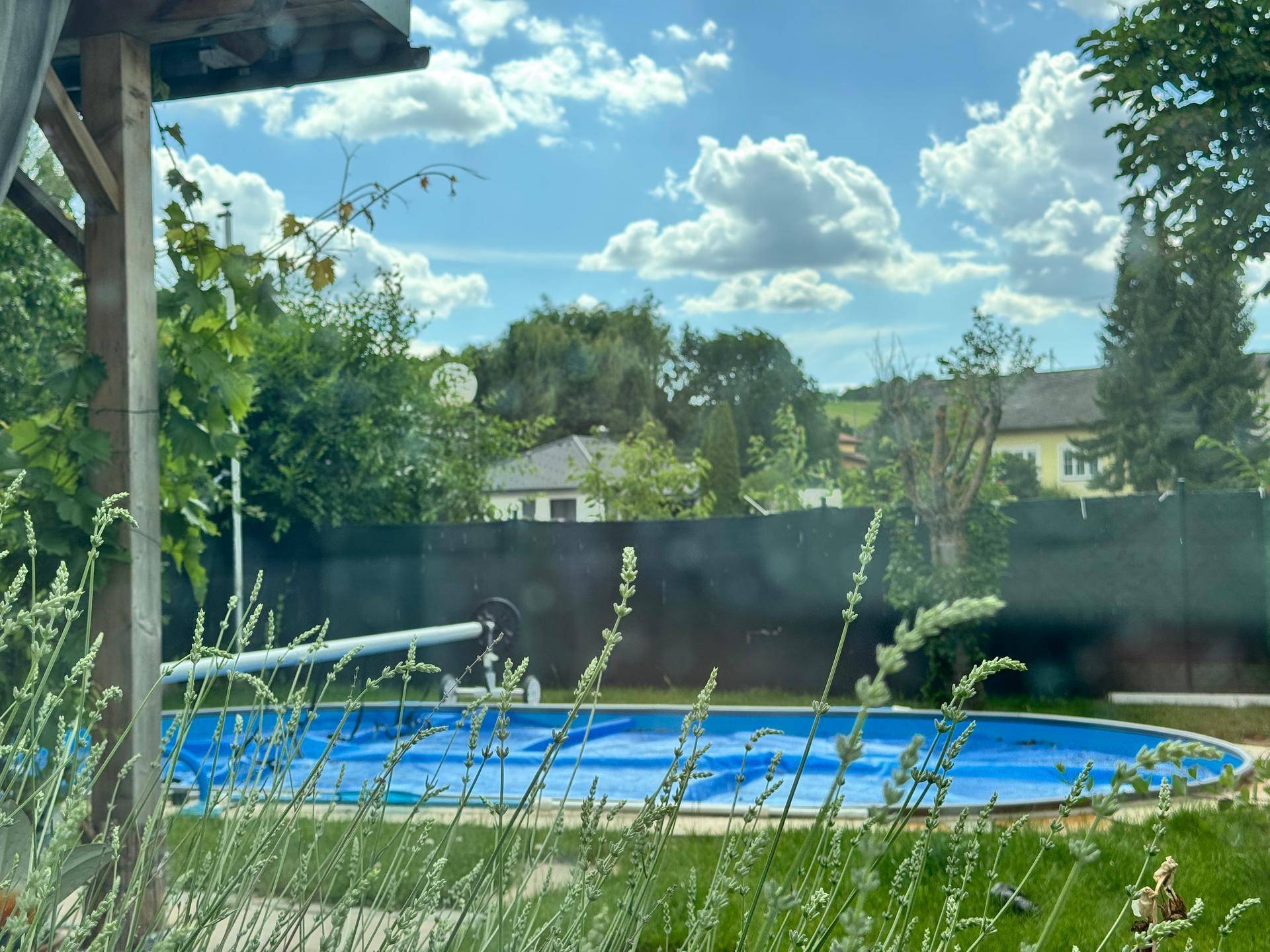 Gartenbereich mit abgedecktem Pool und üppiger Bepflanzung unter blauem Himmel.