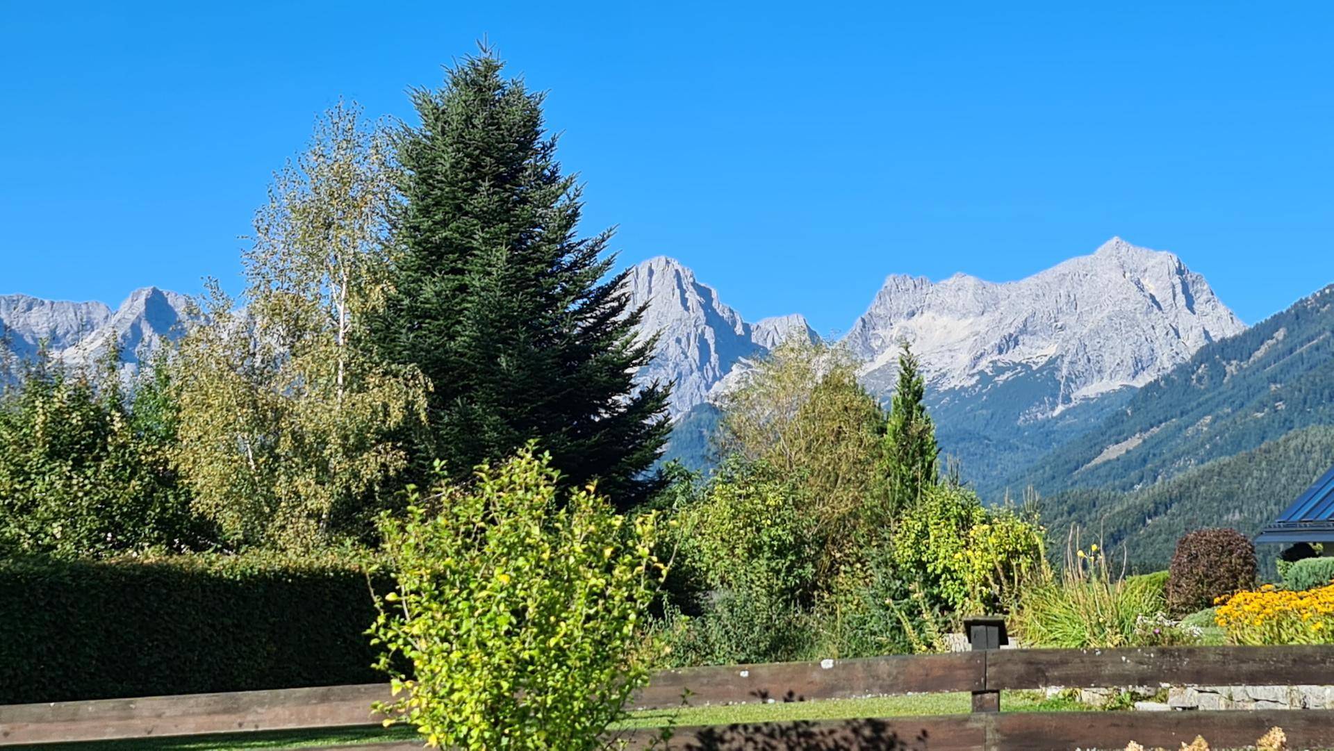 Malerischer Blick auf die majestätischen Berge hinter grünen Bäumen und Sträuchern.