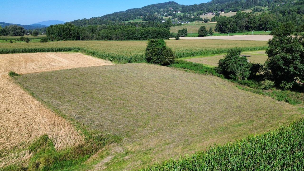 Gemähtes Feld neben weiteren landwirtschaftlichen Flächen, umgeben von Bäumen und Hügeln.