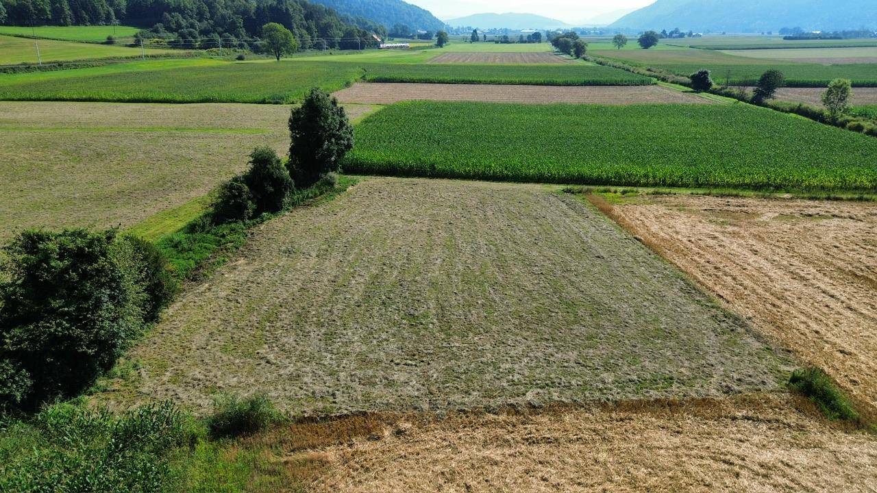 Großes gemähtes Feld mit angrenzenden Ackerflächen und Bergen am Horizont.