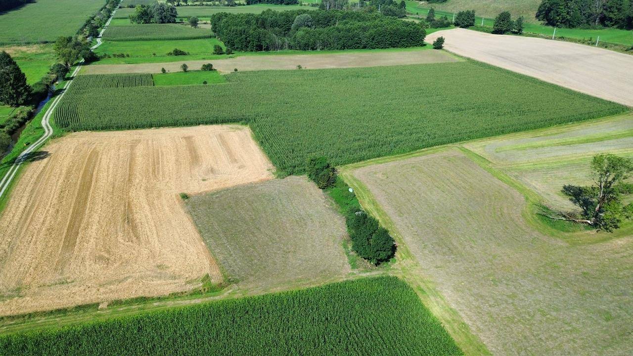 Verschiedene landwirtschaftliche Felder, teils abgeerntet, teils grün, in einer weiten Landschaft.