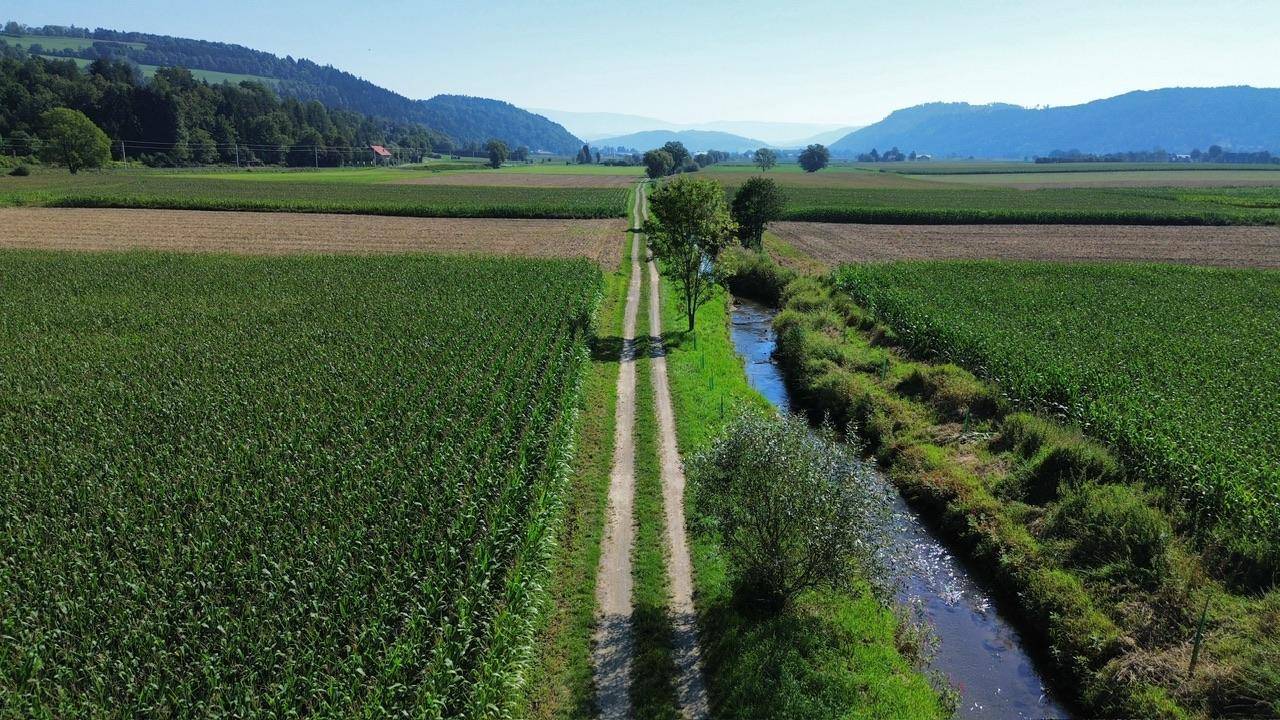 Landwirtschaftliche Felder mit einem Feldweg und einem kleinen Bach, umgeben von Natur.