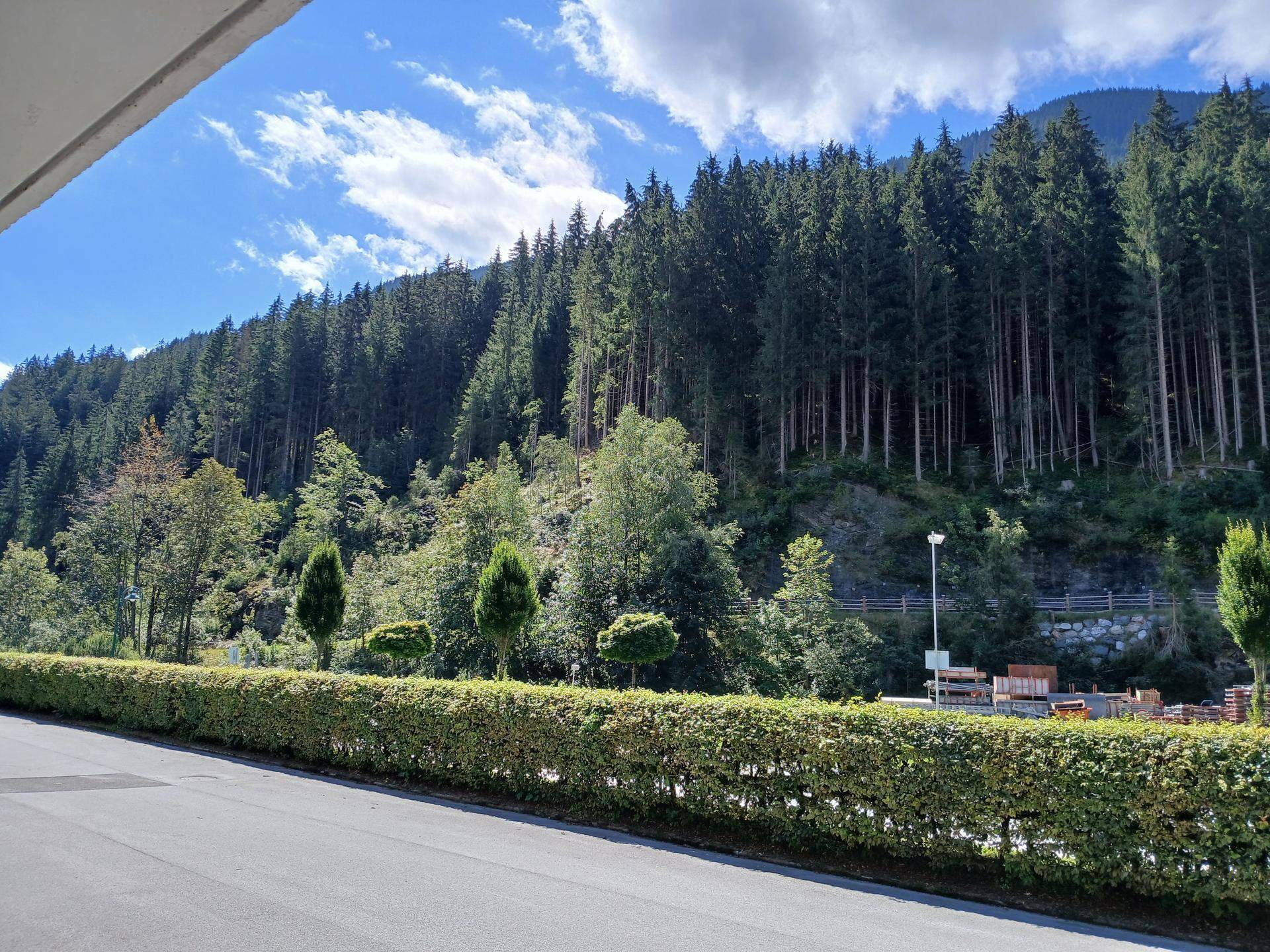 Panoramablick auf dichte Nadelwälder und bewaldete Berge unter blauem Himmel.