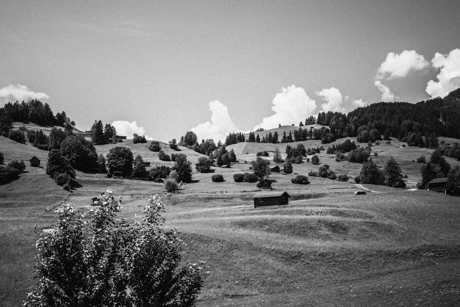 Schwarz-Weiß-Ansicht einer sanften Hügellandschaft mit Bäumen und Wiesen unter bewölktem Himmel.