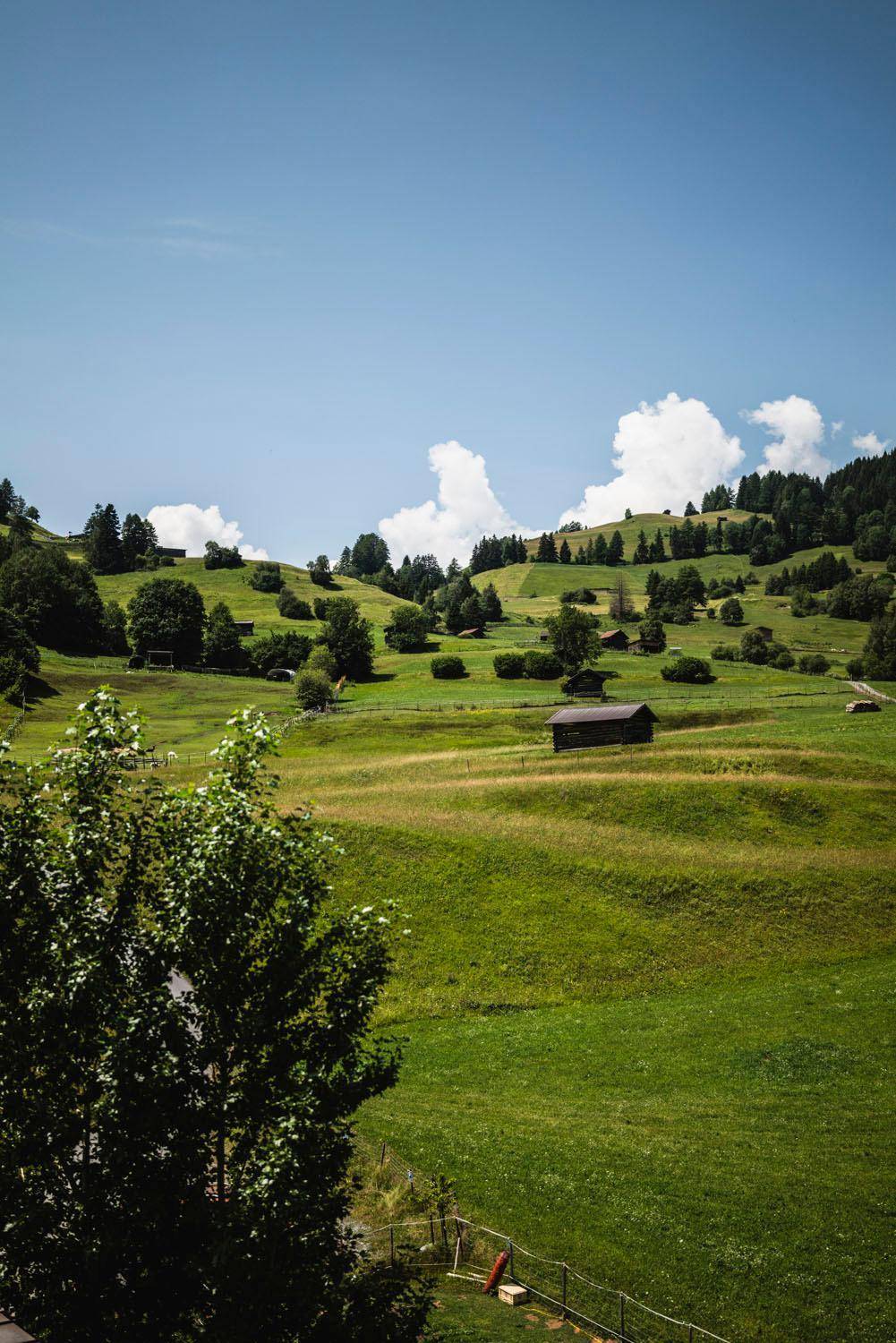 Weitläufige grüne Hügellandschaft mit vereinzelten Bäumen und kleinen Häusern unter blauem Himmel.
