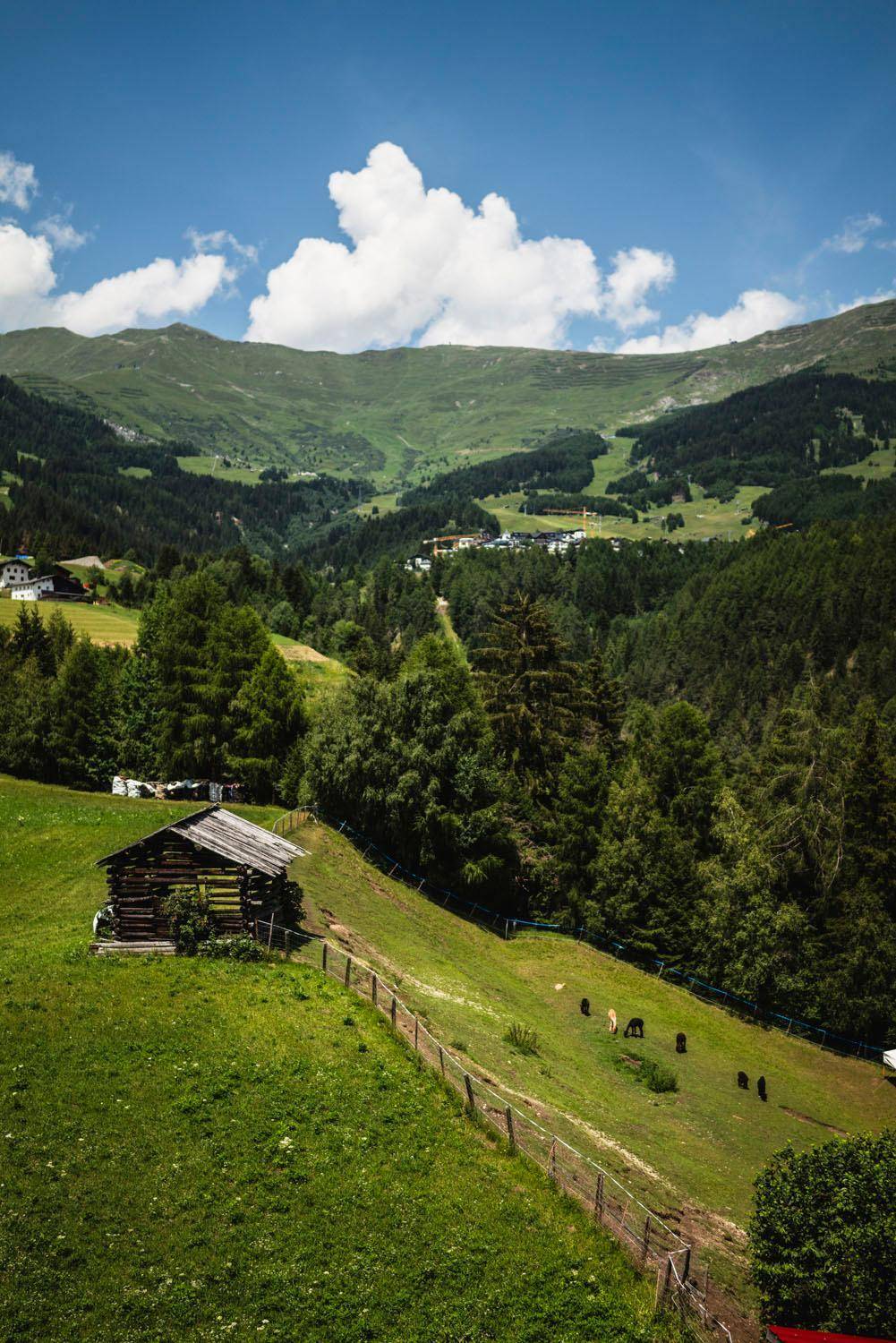 Idyllische Berglandschaft mit grünen Wiesen, dichten Wäldern und einem kleinen Holzhaus im Vordergrund.