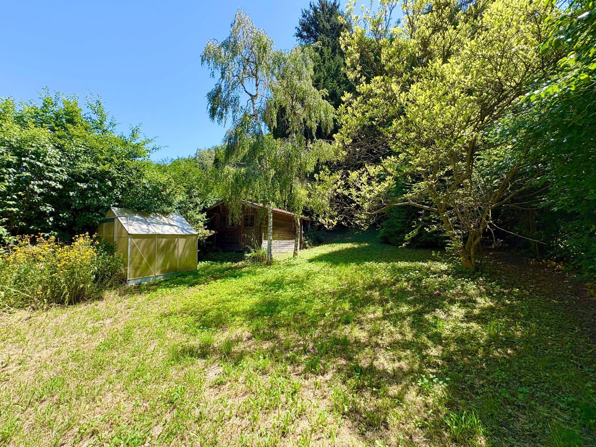Großer, sonniger Garten mit Rasenfläche, Bäumen, einem Gewächshaus und Holzschuppen.