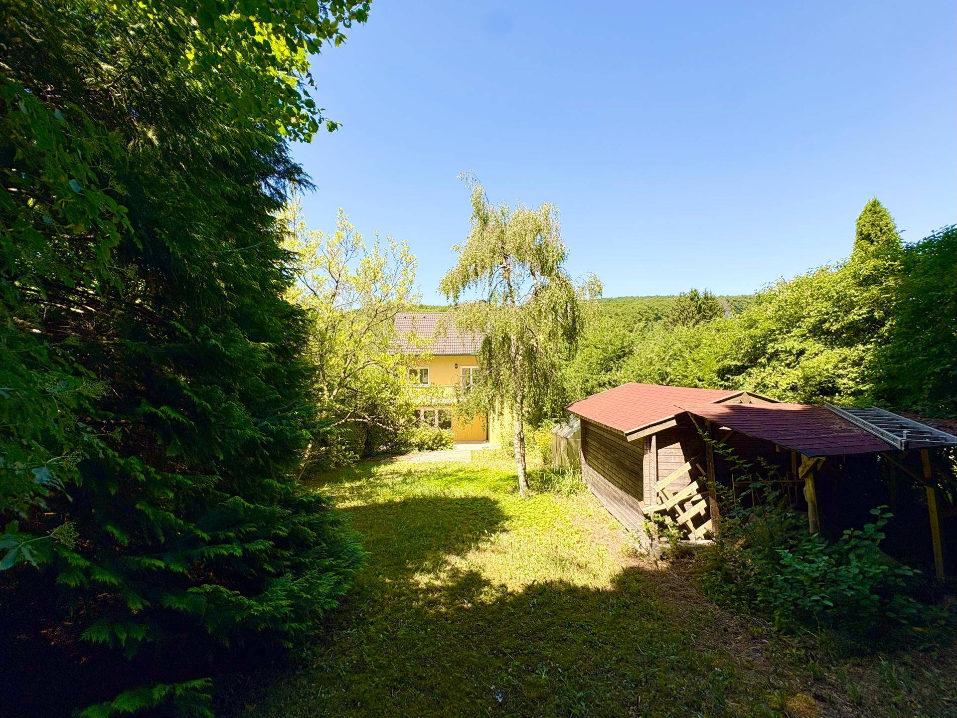 Großer, grüner Gartenbereich mit Baumbestand und einem kleinen Holzschuppen im Hintergrund.