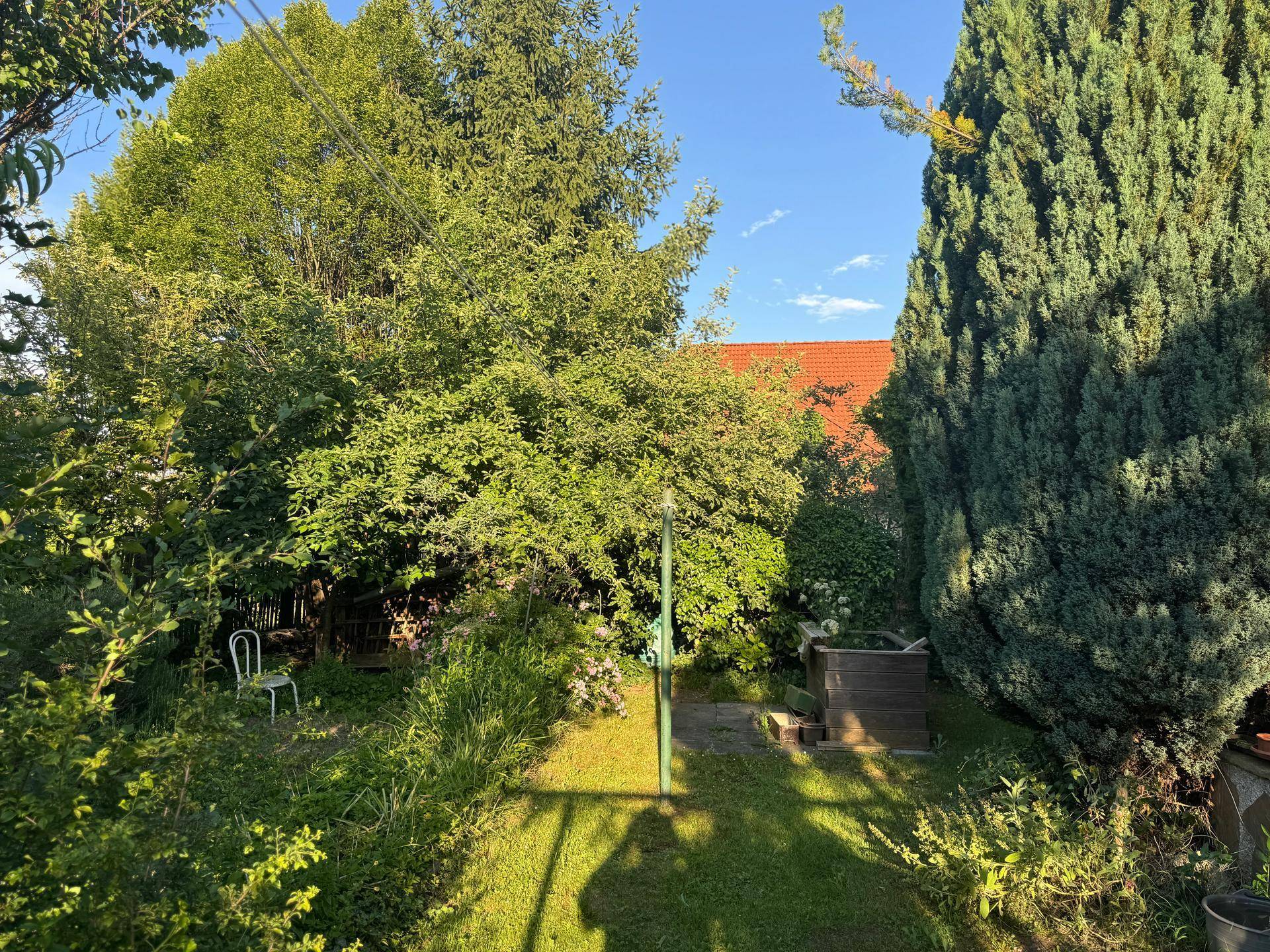 Weitläufiger Garten mit viel Grün, Bäumen und einer kleinen Rasenfläche im hellen Sonnenlicht.