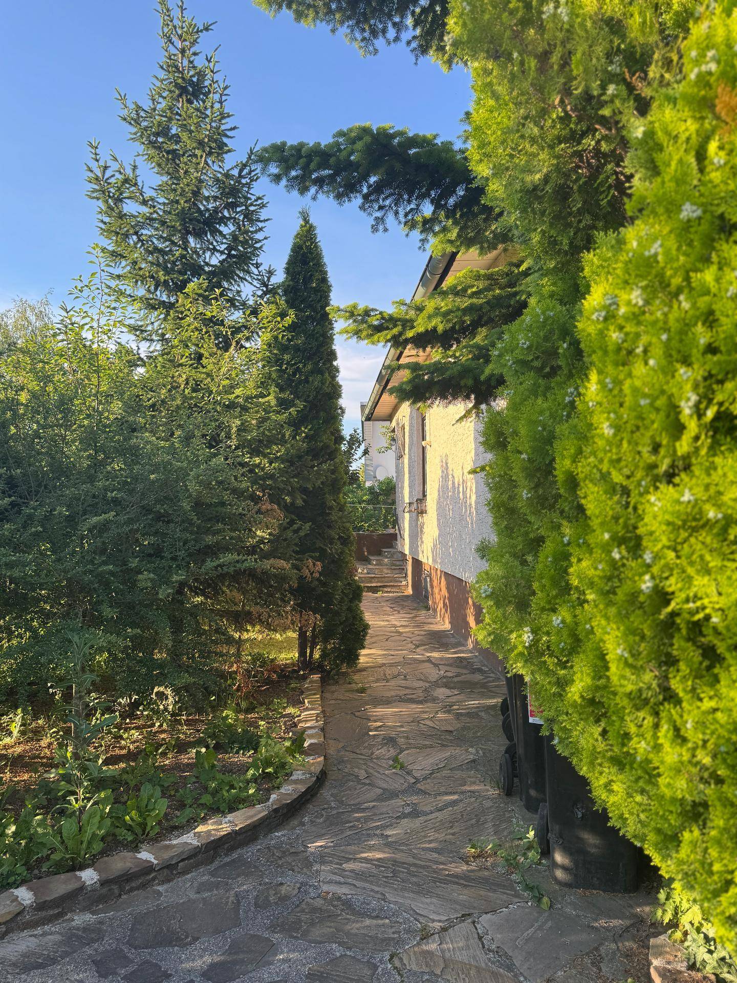 Steinweg entlang der Hausseite, umgeben von üppigem Grün und hohen Nadelbäumen im Sonnenlicht.