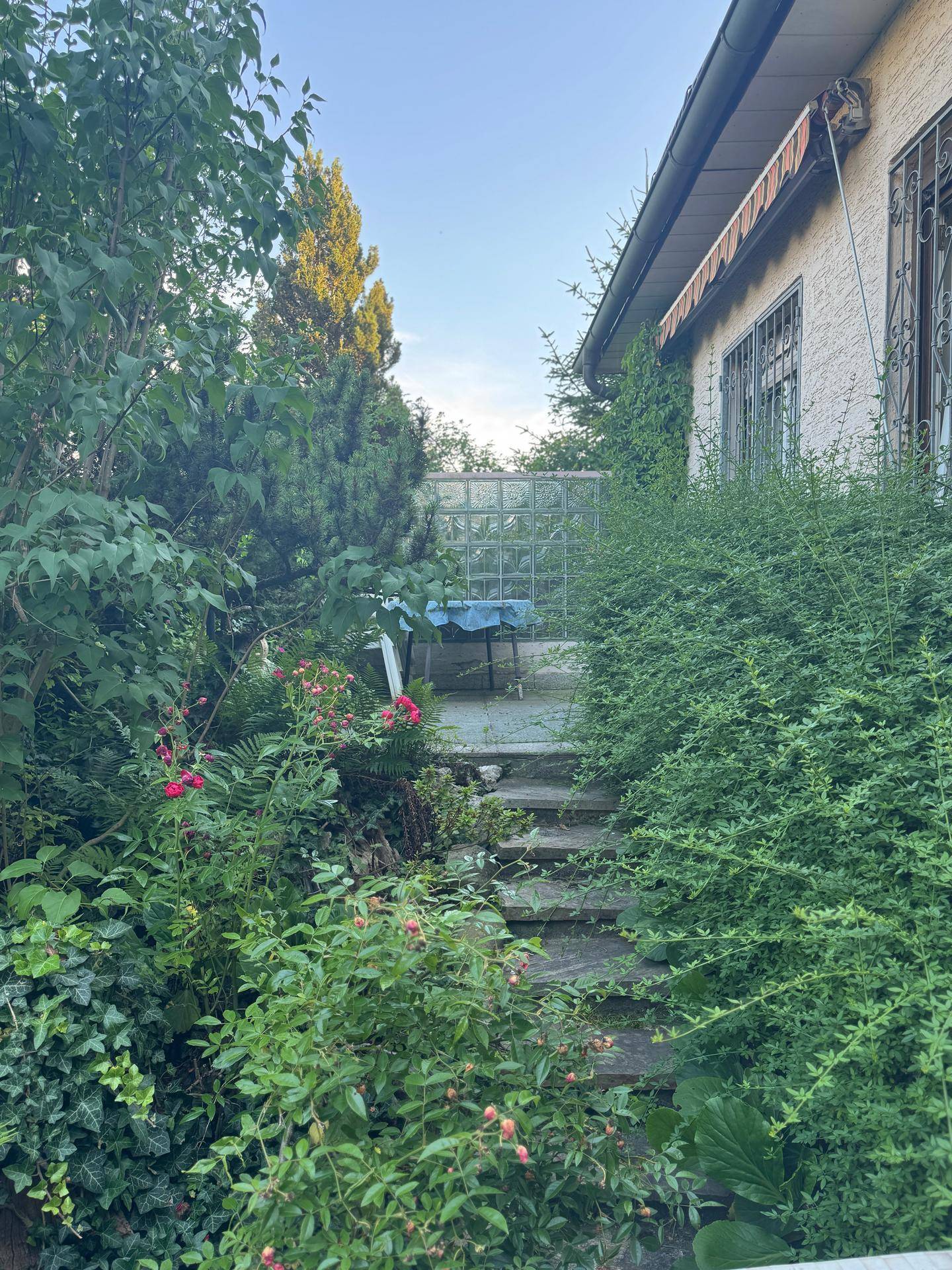 Steintreppe führt durch üppige Bepflanzung zu einer erhöhten Terrasse am Haus mit Glasbausteinwand.