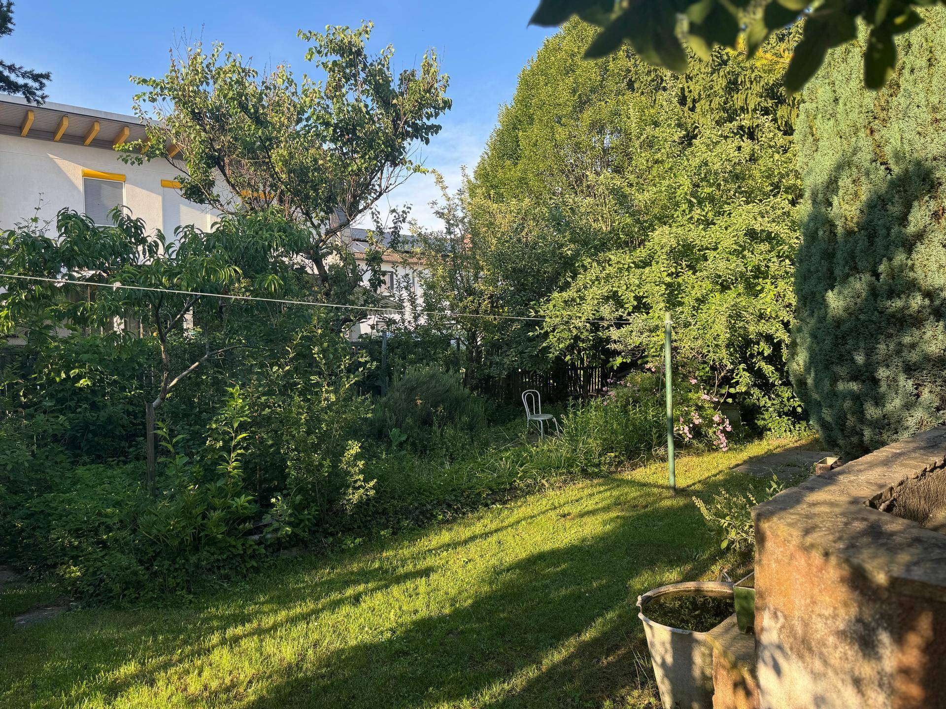 Großer, naturbelassener Garten mit Rasenfläche, Bäumen und üppiger Vegetation im Sonnenlicht.