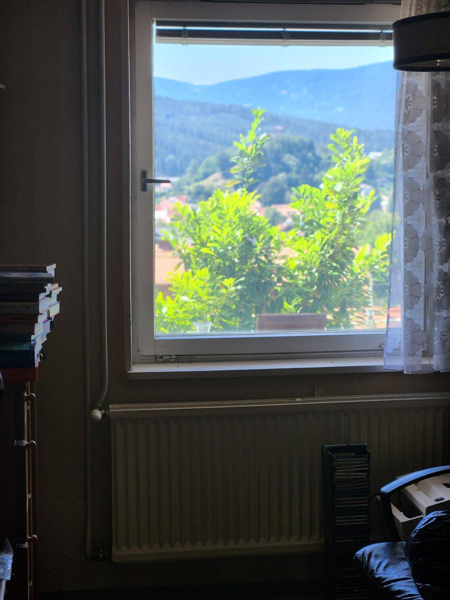 Fensterblick auf eine malerische Berglandschaft mit viel Grün.