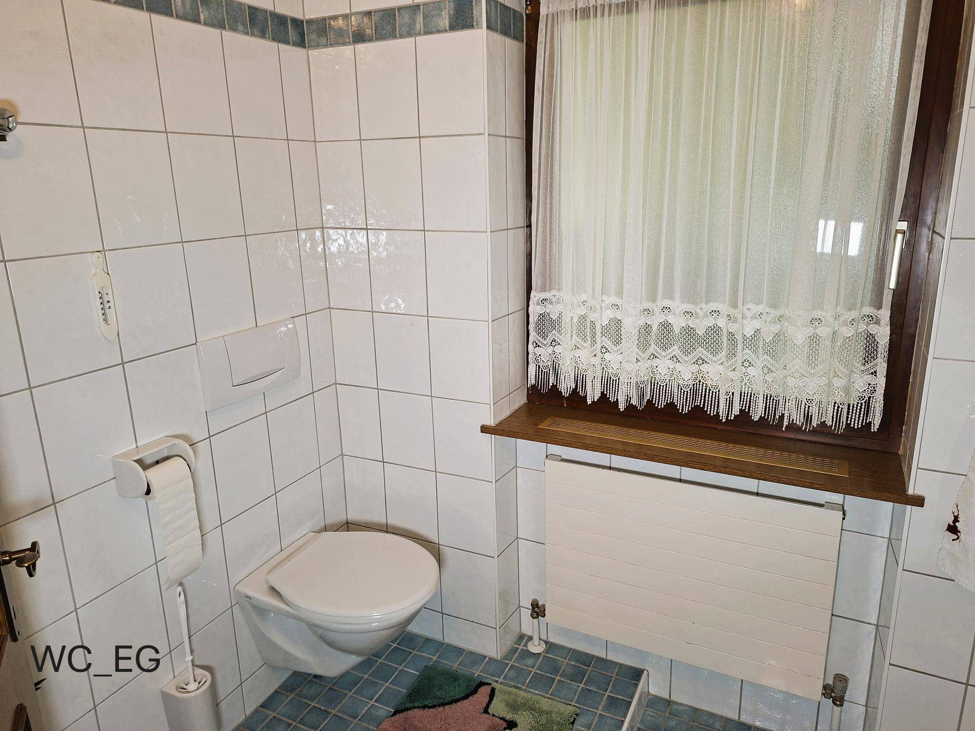 Separates WC im Erdgeschoss mit Toilette, Heizkörper und Fenster, gefliest mit blauer Bordüre.