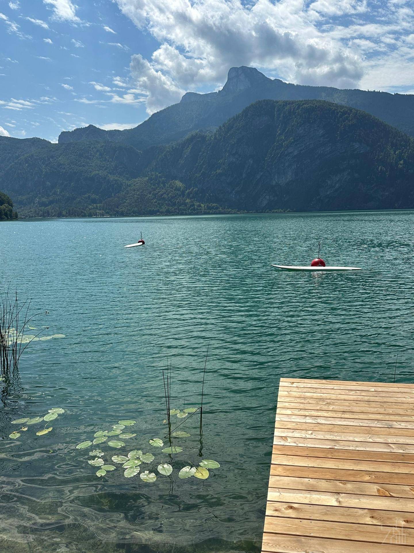 Ruhiger See mit Seerosen, Schilf und einem Holzsteg, umgeben von einer beeindruckenden Bergkulisse.