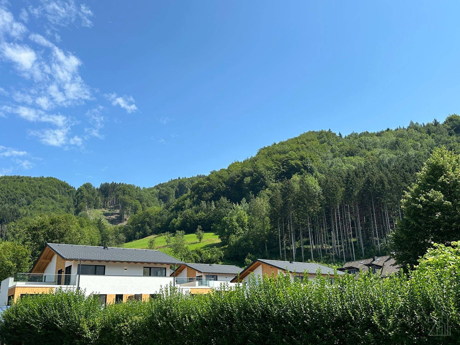 Moderne Häuser eingebettet in eine grüne Hügellandschaft mit dichtem Wald im Hintergrund.