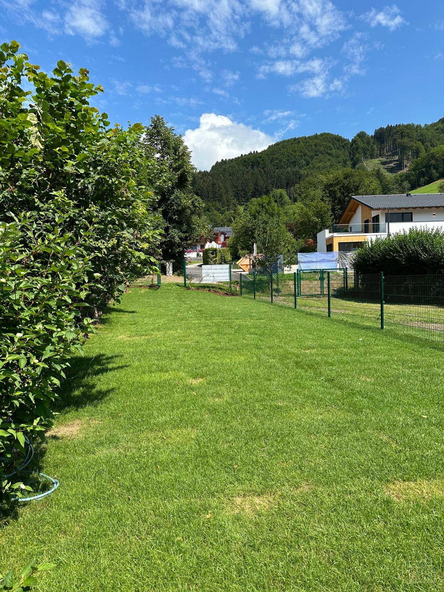 Gepflegter Rasenbereich mit Zaun und Bäumen, umgeben von grüner Natur.