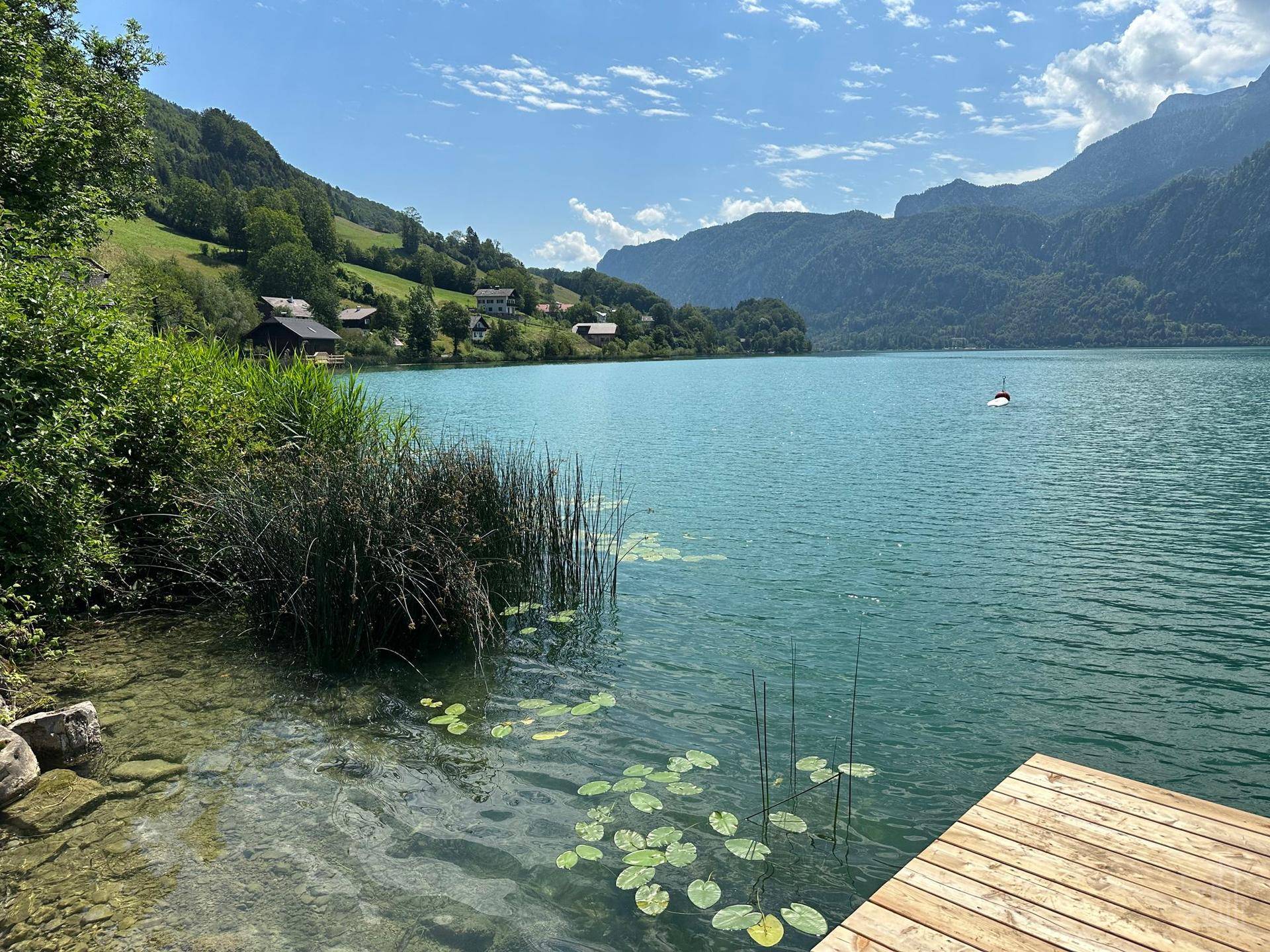 Malerisches Seeufer mit Holzsteg, Schilf und majestätischen Bergen im Hintergrund.