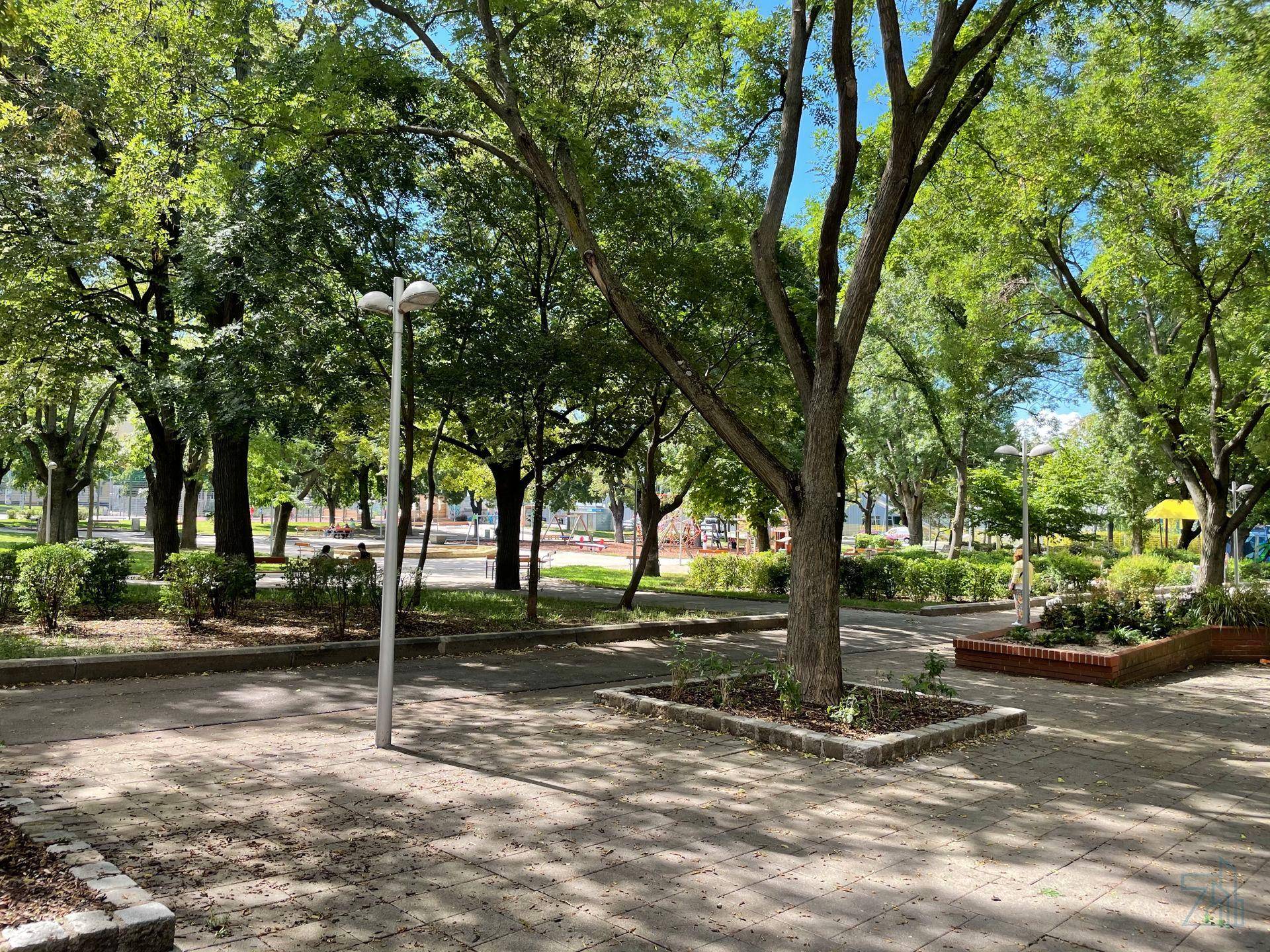 Grüner Park mit vielen Bäumen, Wegen und Sitzgelegenheiten an einem sonnigen Tag.