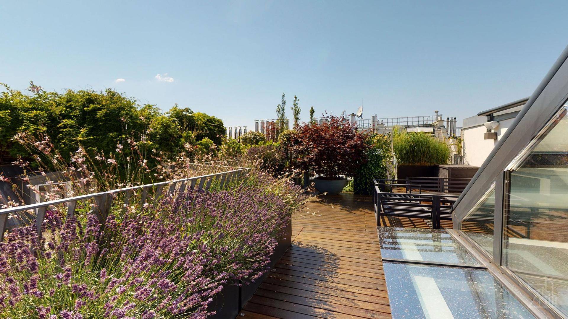 Weitläufige Dachterrasse mit Holzdeck und vielfältiger Bepflanzung unter blauem Himmel.