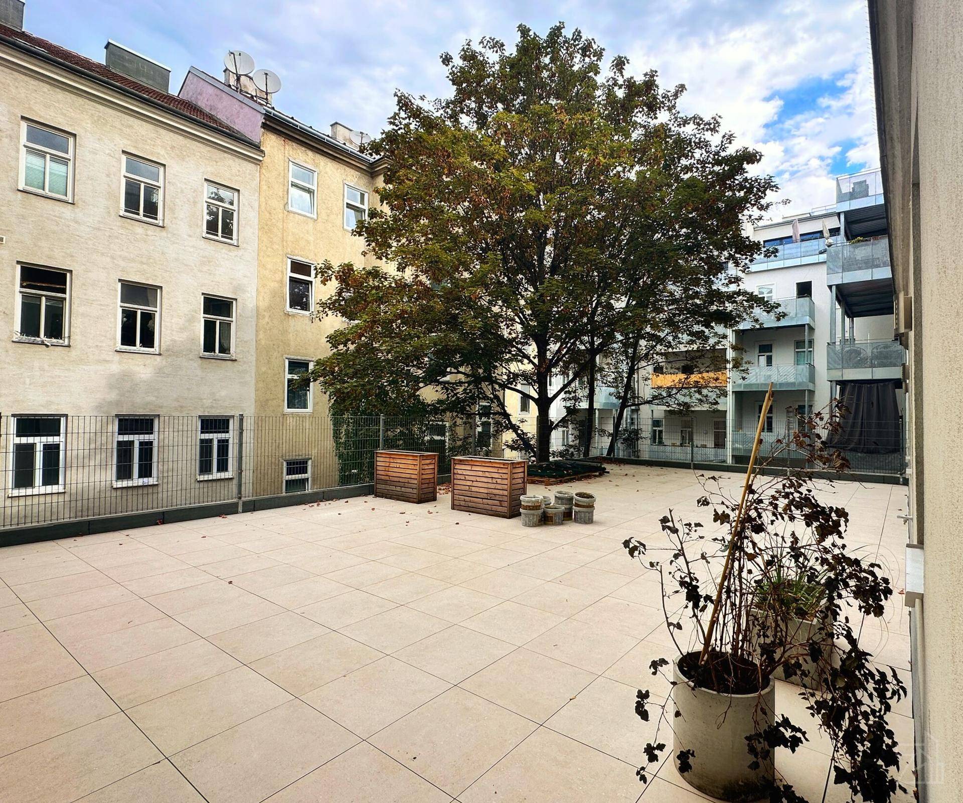 Große gepflasterte Terrasse mit einem Baum und Blick auf die umliegenden Wohngebäude.