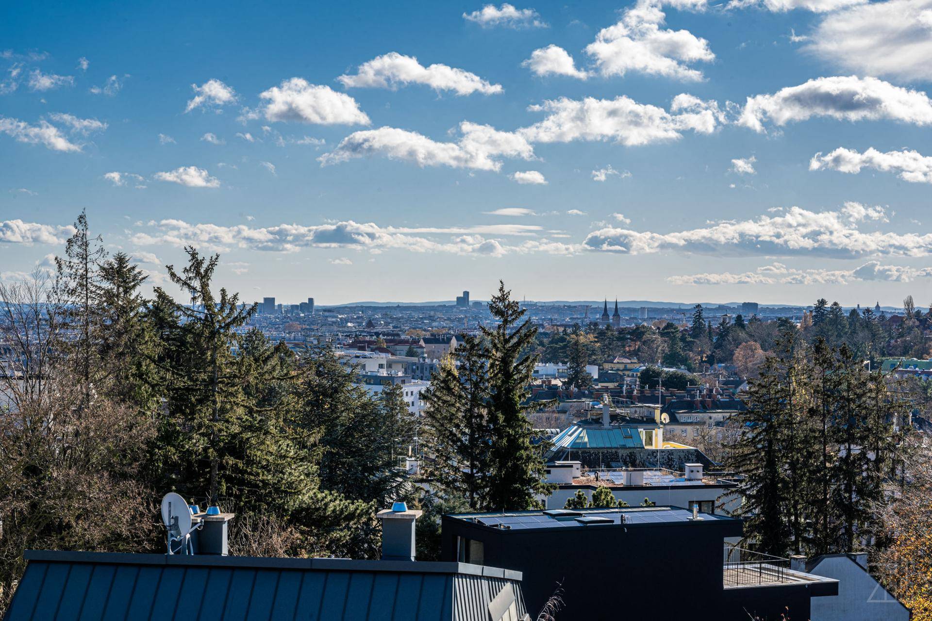 Weiter Blick auf die Stadtsilhouette in der Ferne, umgeben von Bäumen und blauem Himmel.
